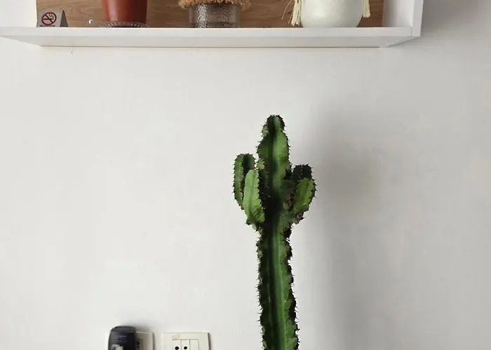 Magnet Self Check-in Apartment