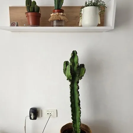 Magnet Self Check-in Apartamento