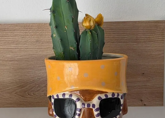 Apartment Magnet Self Check-in